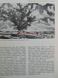Viron kirjallisuus