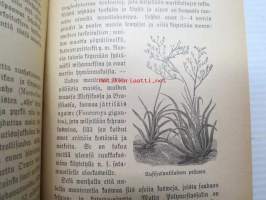 Waatetusaineista ja niiden walmistamisesta - Kansanvalistusseuran kirjasia 99.