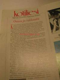 kotiliesi 1994  nr 12