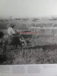 Kiinan vuosisata - Sadan viime vuoden historia valokuvina