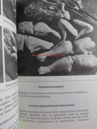 Kotiruoka uusi laitos - keittokirja kotia ja koulua varten