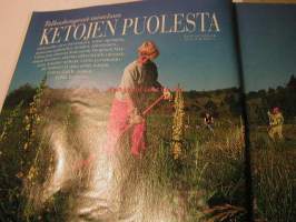 kotiliesi 1993  nr 15