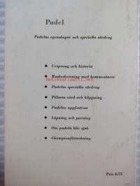 Pudel
