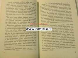 Tom Sawyer salapoliisina