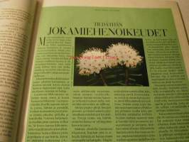 kotiliesi 1993  nr 11