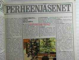 Taitaja 1977 nr 4, Rakentamisen ja asumisen tietolehti, Öljykattila puhtaaksi, Avaraa asumista lakeudella, Täydelliset hoito-ohjeet 26 huonekasville, Kodin kko
