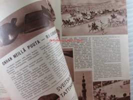 Joka Poika 1956 nr 8, Nuotionsavua Salvosen sannoilla, Sveitsiläiset ostavat herkkutattimme, Käärmellistä tarinaa, ym,Katso sisältö kuvista tarkemmin.