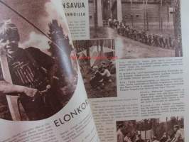 Joka Poika 1956 nr 8, Nuotionsavua Salvosen sannoilla, Sveitsiläiset ostavat herkkutattimme, Käärmellistä tarinaa, ym,Katso sisältö kuvista tarkemmin.