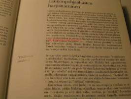 Naisen seksuaalisuus