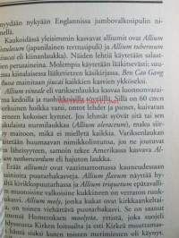Valkosipuli ikivanha luonnonlääke