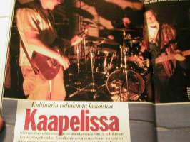 kotiliesi  1995  nr  6