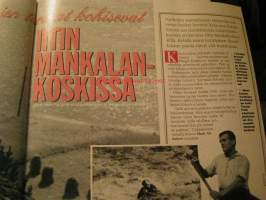 kotiliesi  1995  nr  6