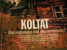 kotiliesi  1995  nr  19
