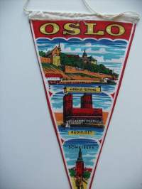 Oslo   -matkailuviiri   iso