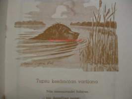 Tupsu - Kuvataide