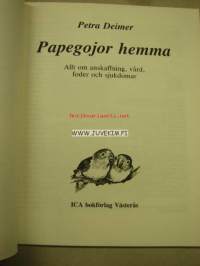 Papegojor hemma