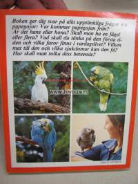 Papegojor hemma