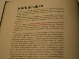 Karhulaakso