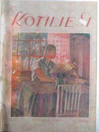 Kotiliesi sidottu vuosikerta 1929 Kansikuvituksia aikansa taitelijoilta mm. Maria Wiik, Viktor Westerholm, Santeri Salokivi ym. - Suomen kotitalousväen lehti