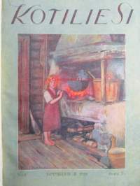 Kotiliesi sidottu vuosikerta 1929 Kansikuvituksia aikansa taitelijoilta mm. Maria Wiik, Viktor Westerholm, Santeri Salokivi ym. - Suomen kotitalousväen lehti