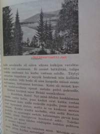 Värmlannin matka - Suomalaisuutta vainuamassa Värmlannin metsissä