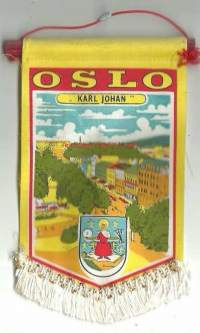 Oslo -matkailuviiri