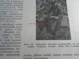 Suomen vanhimman puunjalostusteollisuuden historiaa Vakkasuomalaisten puuastiateollisuudesta eripainos aikakauslehti Suomen Puu 1931 nr 24 ja Suomen Puu 1932 nr 1