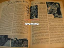 Kotiliesi 1938 nr 13-14 kansi Martta Wendelin. Hää -aihe: Kesähäät vuonna 1938. Anopin puhe morsiamelle. Suomen Voimistelun suurkisat 1938.