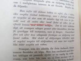 Försigtighetsmått i Äktenskapet - en framställning af de s.k. preventiva medlen af en läkare -syntyvyydensäännöstely avioliitossa - välineet - lääkärin kirjoittama