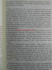 Siellä jossakin