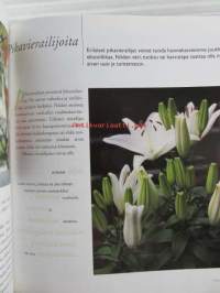 Huonekasvit kukoistamaan