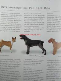 The new guide to Dog Breeds - The complete reference to pedigree dog breeds of the world - Koiran sukutaulut ja opas