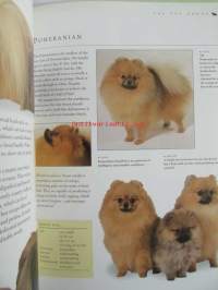 The new guide to Dog Breeds - The complete reference to pedigree dog breeds of the world - Koiran sukutaulut ja opas