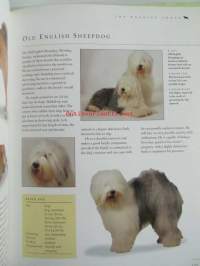 The new guide to Dog Breeds - The complete reference to pedigree dog breeds of the world - Koiran sukutaulut ja opas