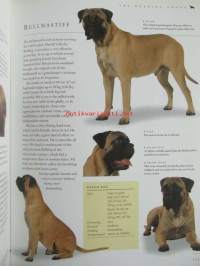 The new guide to Dog Breeds - The complete reference to pedigree dog breeds of the world - Koiran sukutaulut ja opas