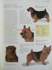 The new guide to Dog Breeds - The complete reference to pedigree dog breeds of the world - Koiran sukutaulut ja opas