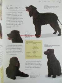 The new guide to Dog Breeds - The complete reference to pedigree dog breeds of the world - Koiran sukutaulut ja opas