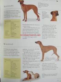 The new guide to Dog Breeds - The complete reference to pedigree dog breeds of the world - Koiran sukutaulut ja opas