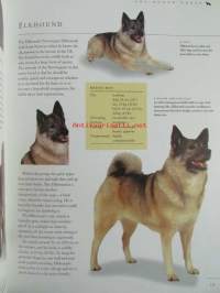 The new guide to Dog Breeds - The complete reference to pedigree dog breeds of the world - Koiran sukutaulut ja opas