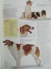 The new guide to Dog Breeds - The complete reference to pedigree dog breeds of the world - Koiran sukutaulut ja opas