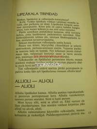 Valkosipulin vuosi