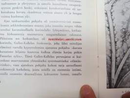 Jusélius mausoleumi, Pori -esittelykirja 1975