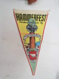 Hammerfest -matkailuviiri