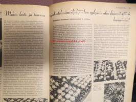 Kotiliesi 1935 nr 20 lokakuu Kansikuva Martta Wendelin Aiheita mm  orkideojakin voidaan kasvattaa kotona, Vuoden 1935 kenkämalleja