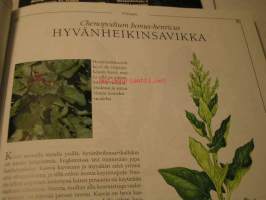 Yrttiaapinen - Perusopas yrteistä ja niiden käytöstä