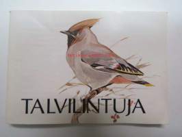 Tyhjä kuva