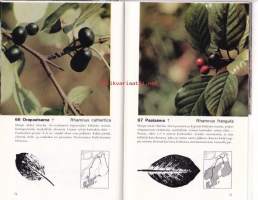 Pohjolan marjat, 1971.   Värikuvat yli sadasta eri marjalajista sekä lehtipainanteet, levinneisyyskartat ja suppeat kasvitieteelliset tiedot.