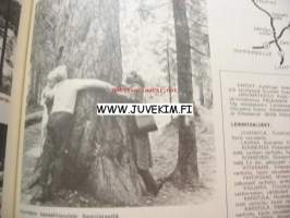 Auto ja Liikenne 1968 nr 3, Auton työllisyysvaikutus, Renault 4 x 4 , Auton mittaristo, autoiljan apuvälineitä, Autolla ulkomaille 1968, ym.
