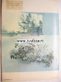Kodin Aitta 1968 nr 1