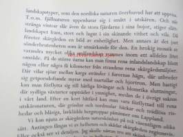 Saaristomeri Skärgårdshavet